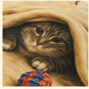 Blanket Fort — Ethel All-Over Print T-Shirt — print detail